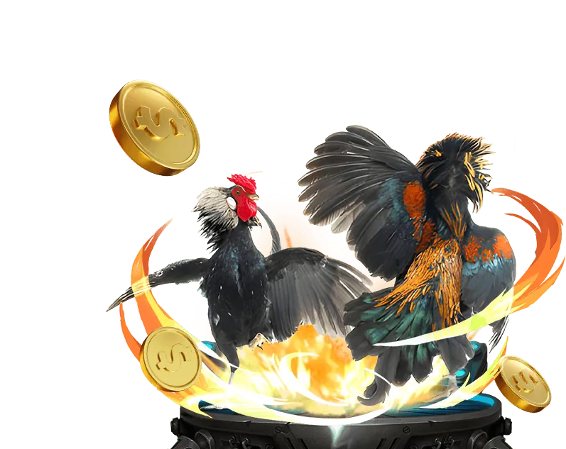 Chọn Nền Tảng Uy Tín