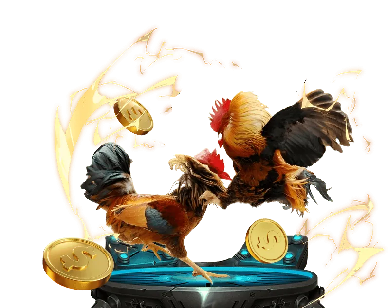 Hướng dẫn từng bước đăng ký tài khoản